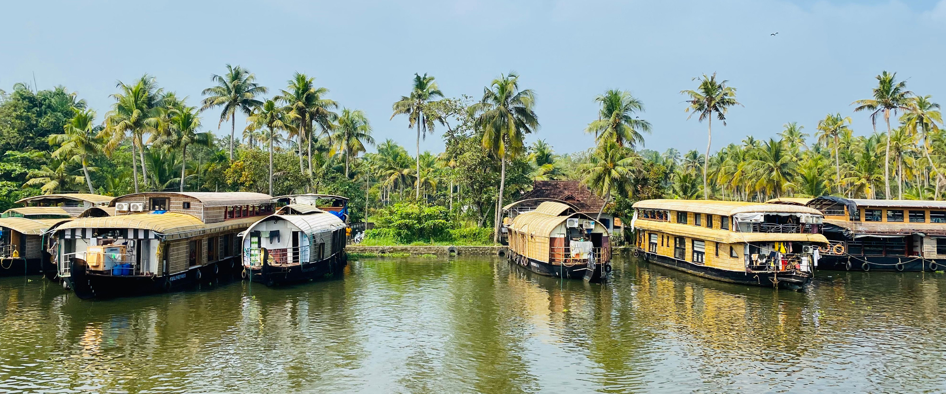 alleppey tour 4