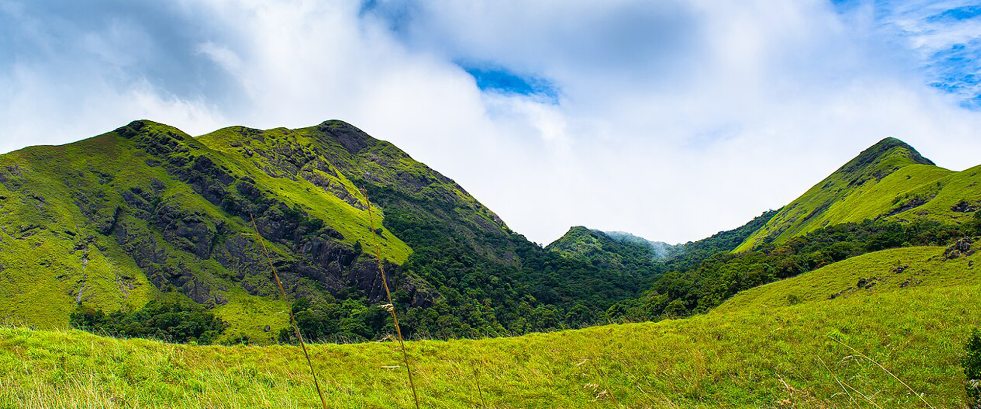 Wayanad