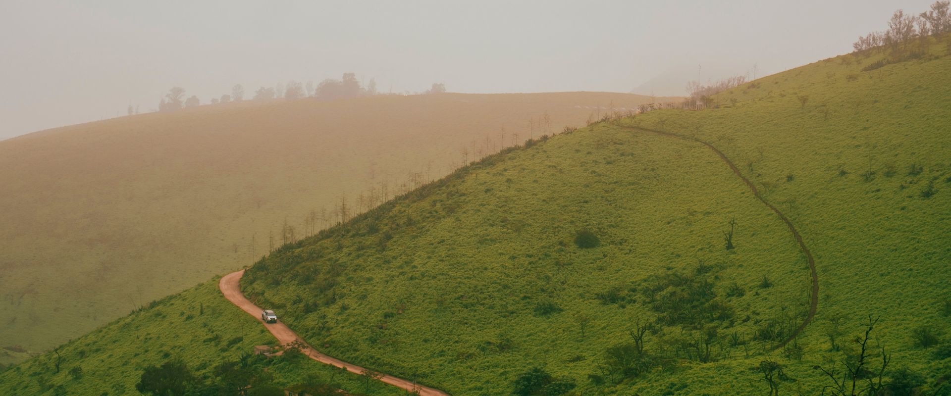Wayanad 2