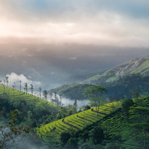 Munnar Honeymoon Tour Packages from Coimbatore