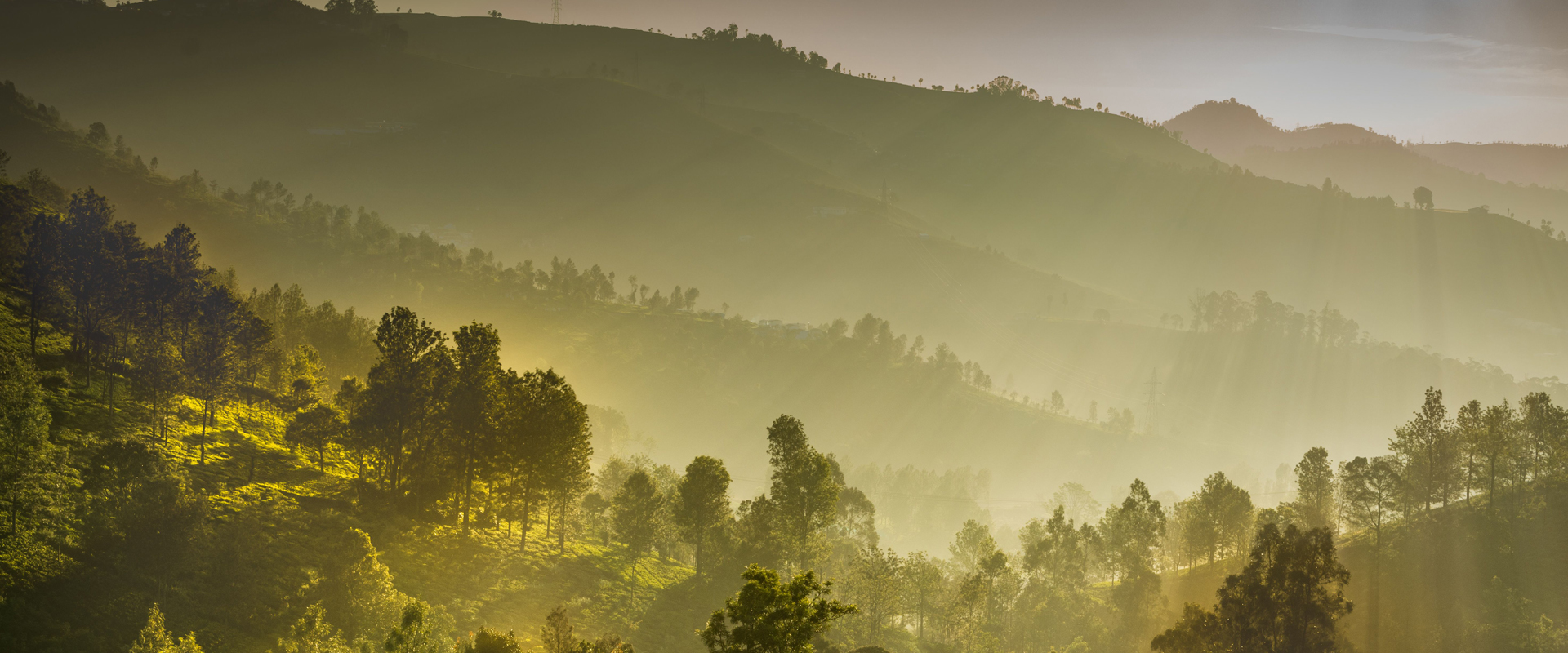 munnar-tourist places