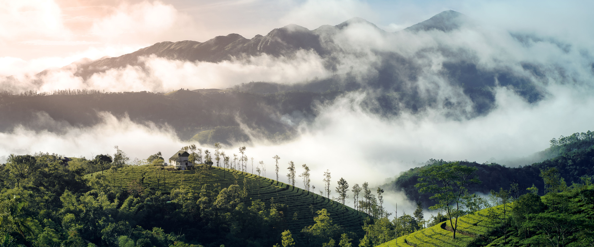 munnar-tour-package